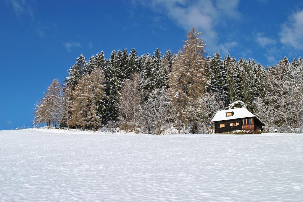 Schlintl-Hof Villa Liebenfels Værelse billede