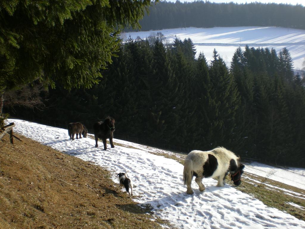 Schlintl-Hof Villa Liebenfels Eksteriør billede