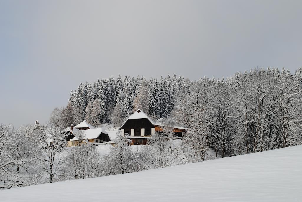 Schlintl-Hof Villa Liebenfels Eksteriør billede
