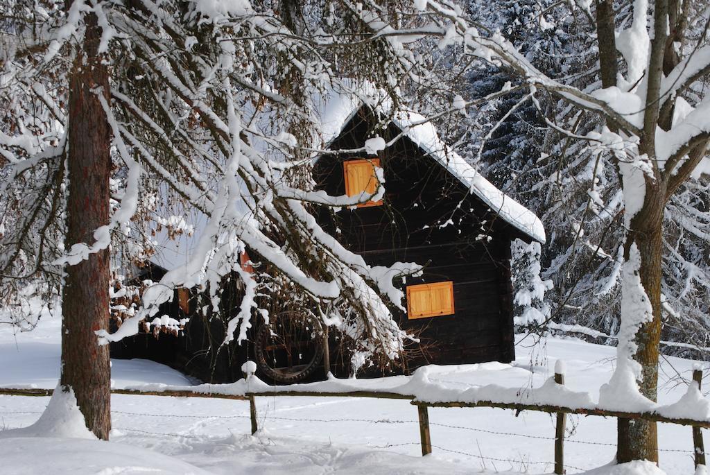 Schlintl-Hof Villa Liebenfels Eksteriør billede